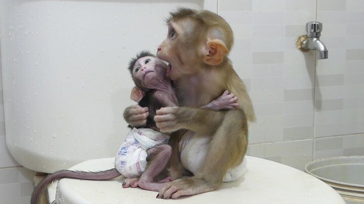 Brother Monkey Maku Take Care And Hug Cute Sister Jessie Sit Waiting Mom Take A Bath