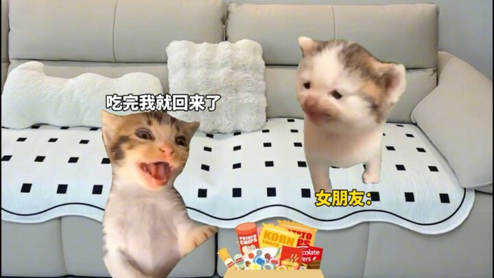 Khi bạn có một cô bạn gái ham ăn #meme_mèo