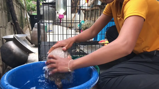 ยิ้มหวานเตือนแม่แล้วนะ คือไม่อยากอาบน้ำค่ะ งับมือซ๊ะเลย🤣 04-09-2019
