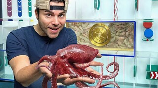 Insinyur Mark Rober: Gugus Tugas Cerdas dan Berani Gurita