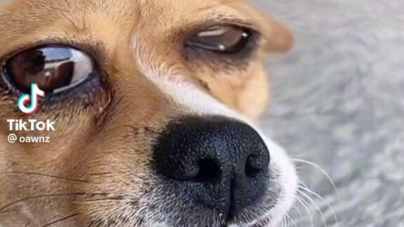 Ta nói nó khốn nạn:(((