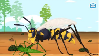 Cách Thức Và Lí Do Ong Làm Mật (Cùng Các Sự Thật Khác Về Ong Mà Bạn Vẫn Thắc Mắc #kienthuc