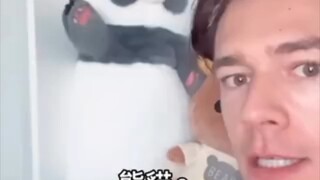 Gấu trúc đang tạo dáng kỳ lạ