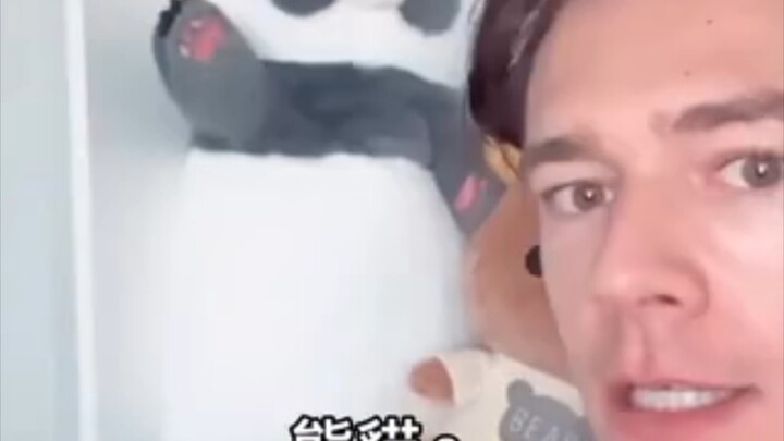 正在做出不得了姿势的大熊猫