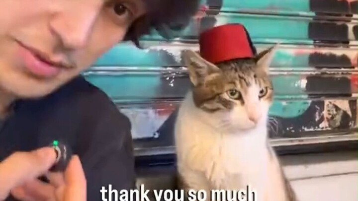 พูดคุยกับชาวบ้านท้องถิ่นตามท้องถนนในอิสตันบูล 🐈