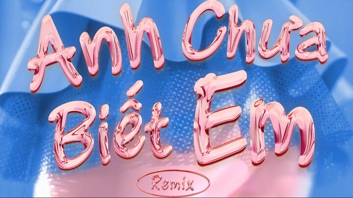 Anh Chưa Biết Em (Remix)