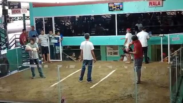 my signature line white first fight win