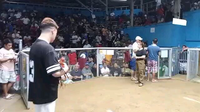 at binitawan na nga ni Boss Cyruz ang manok ni MB 4stag sa old marilao