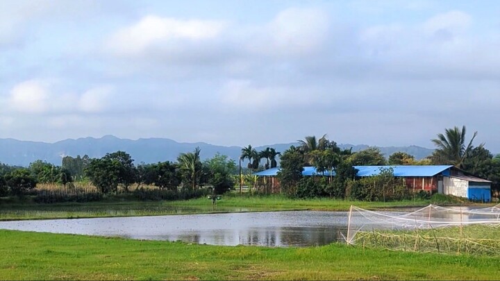 Nature of Village in Bangladesh