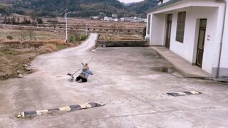 The cute kid rolled over the car. It seems that he felt more powerful after falling.