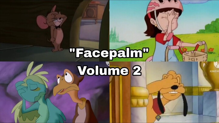 "Facepalm" Compilation (Volume 2)