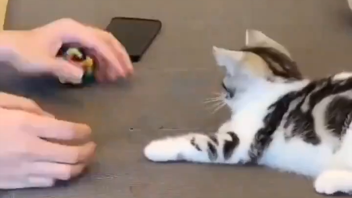 You play the guess-the-thing game with me.