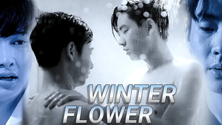 [BL] ไข่ x ที่สาม (OFFGUN) - WINTER FLOWER | MV (รีเมค)