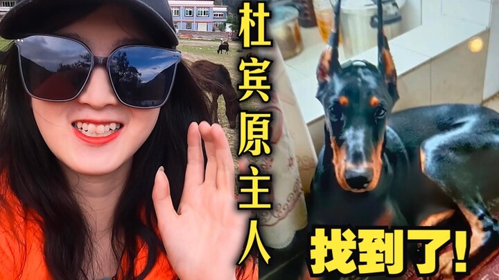 记得我在西藏捡的杜宾吗？失联三年，主人看视频瞬间崩溃...