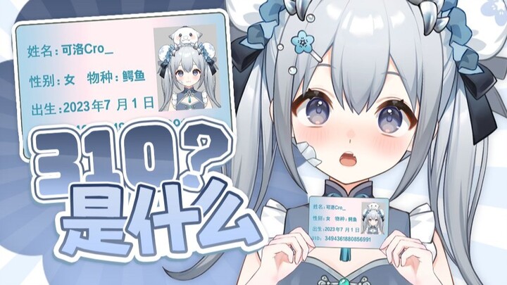 310算是上海人吗？