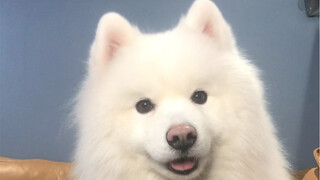 You weirdo! Please, just touch me already, okay?