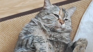 I'm going to sleep, please turn off the light, thank you