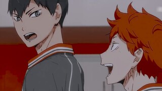 [Haikyuu!!] Xé nát lông vũ của em