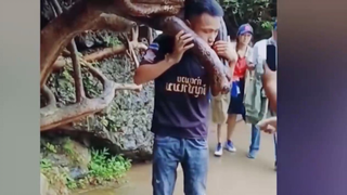 ภายในการ์ดหัว