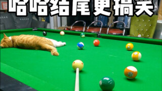 Haha, cuối cùng cười chết mất thôi