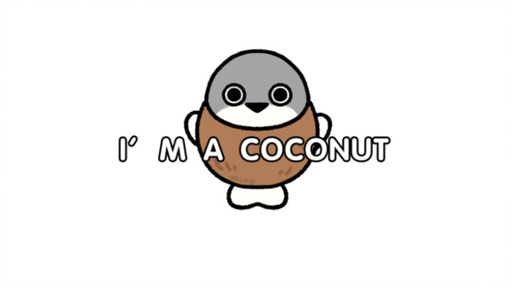 Sakaban softshell turtle: I ´am a coconut? ?