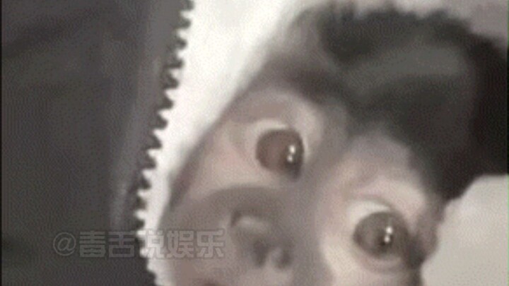 هناك فعلاً من يربي أطفاله حسب دليل التعليمات!