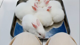 ไม่ได้พกกระดาษจะทำยังไงดี? เพื่อนของคุณนำสิ่งเหล่านี้มาให้ ASMR