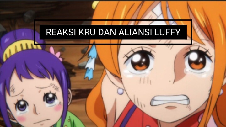 Reaksi kru & aliansi luffy "mengetahui luffy masih hidup"