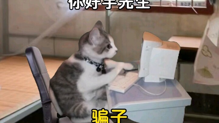 Khi tôi nhận được cuộc gọi lừa đảo từ miền Bắc Myanmar