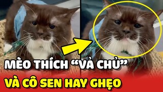 Hoàng Thượng "THÍCH VẢ CHỦ" và cô Sen HAY CHỌC GHẸO khiến nhiều người thích thú 😂 | Yêu Lu