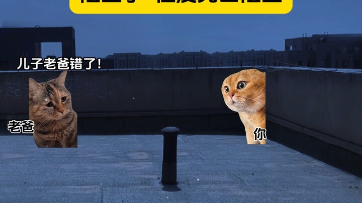 Đã ngăn chặn được, nhưng không hoàn toàn.