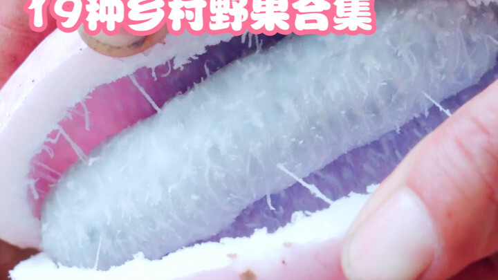 How many of these 19 wild fruits from the countryside have you tried?