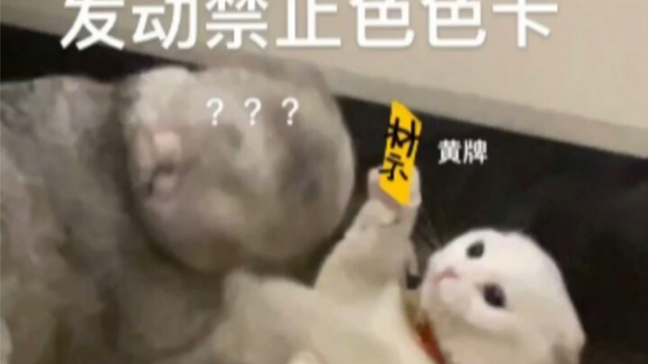 Kích hoạt thẻ cấm nhìn trộm!