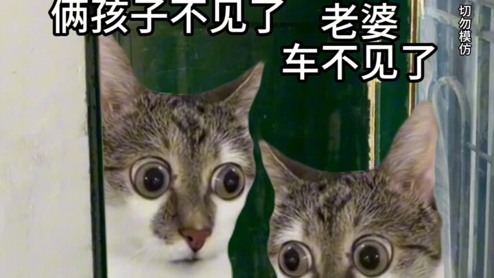 此刻会开车和不会开车的都沉默了