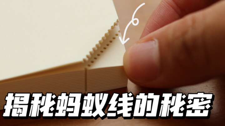 Uncover the purpose of the row of dots in the lower right corner of this notebook