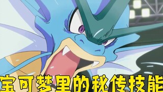 盘点宝可梦里的所有的秘传技能，他们都可以使用无数次