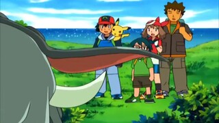 Pokemon season 8 tập 391 Hãy lăn ₫i tình yêu của Donfan