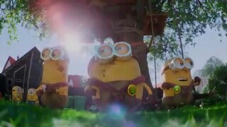 MINION more 1