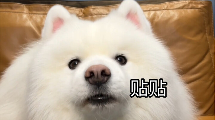 Hôm nay tôi có thể xin bạn một cái ôm được không