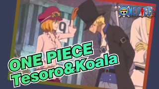 ONE PIECE|Tesoro&Koala：Adegan Fluff