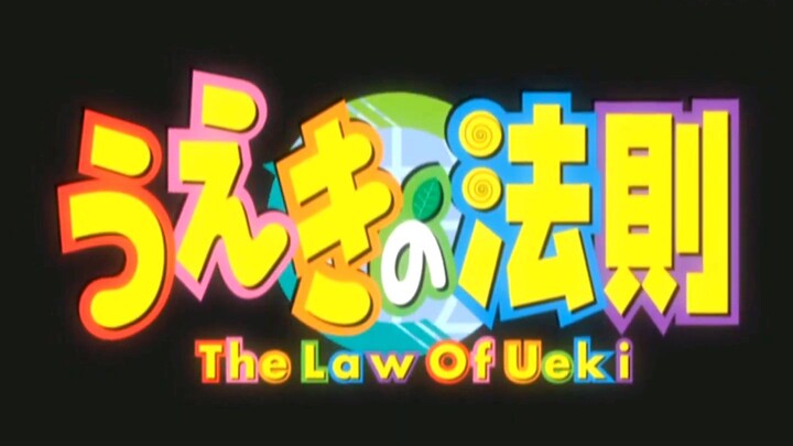 OP I The Law Of Ueki "Falco" 島谷 ひとみPenerjemahArif Rusman Sutiana