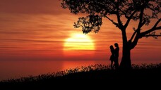 Setelah_istrinya_terlahir_kembali,_sang_CEO_mulai_mengejarnya_tanpa_henti!#minidrama(480p)