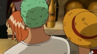 luffy and zoro's stupidity