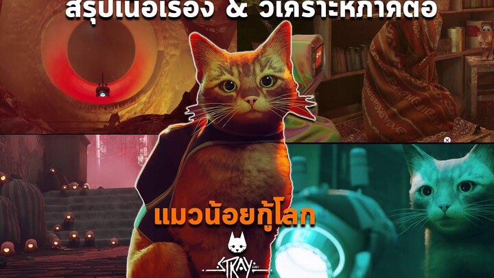 สรุปเนื้อเรื่อง STRAY อธิบายฉากจบน้องแมว & วิเคราะห์ภาคต่อ