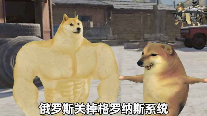 هل هذه هي الحال حقا!