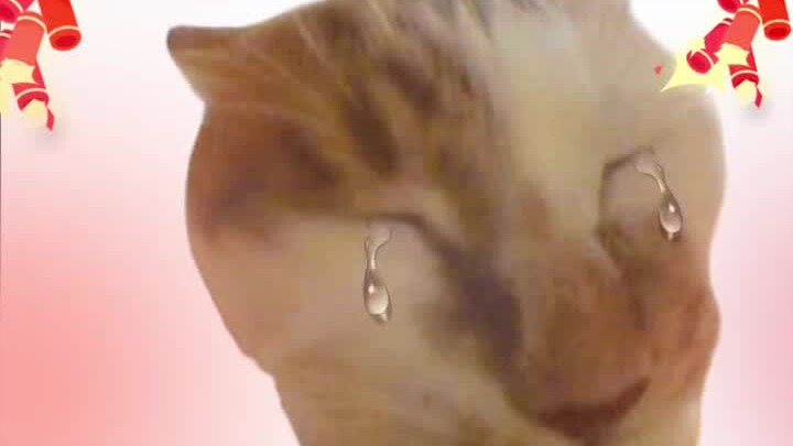 The situation is so tough right now… I haven’t had any for days… Waaahhh…