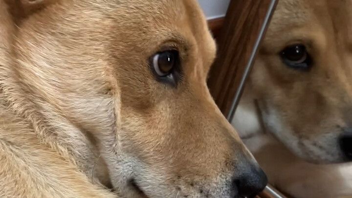 September’s salary has been paid on time—please check your account!