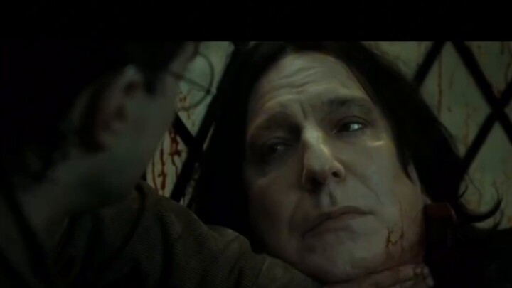 [Harry Potter Mashup | Abuse | Group Portrait] "งั้นฉัน... ก็จะได้พบเขา... อีกครั้ง"