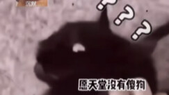 ทุกขั้นตอนล้วนมีเหตุผล ทั้งหมดคือเทคนิค ไม่มีความรู้สึกเลย