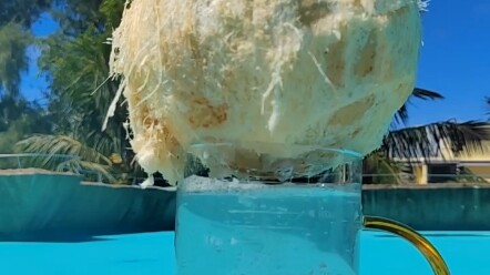 Let me show you! How many milliliters of water are in a Hainan coconut—three to four times more than